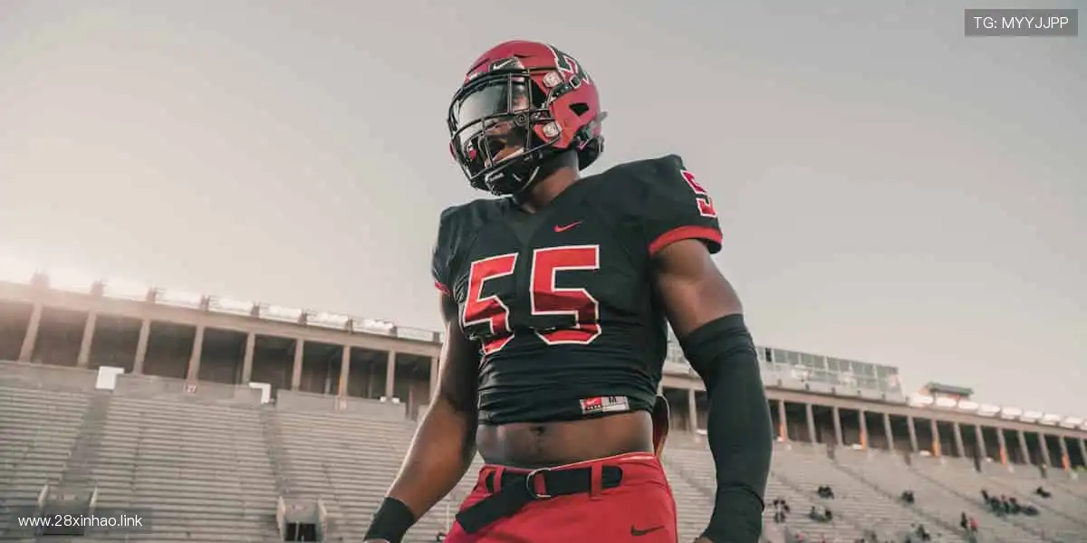 珍藏热爱，从这里开始！🎁🌟